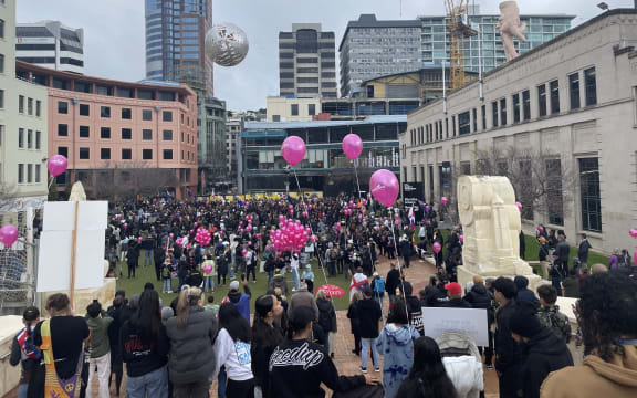 Pink balloons are being handed out by Freedoms NZ at Civic Square.