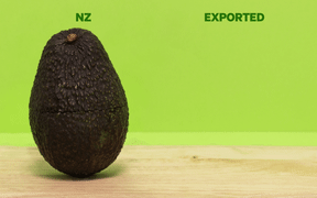 Animation of avocado cut in half.