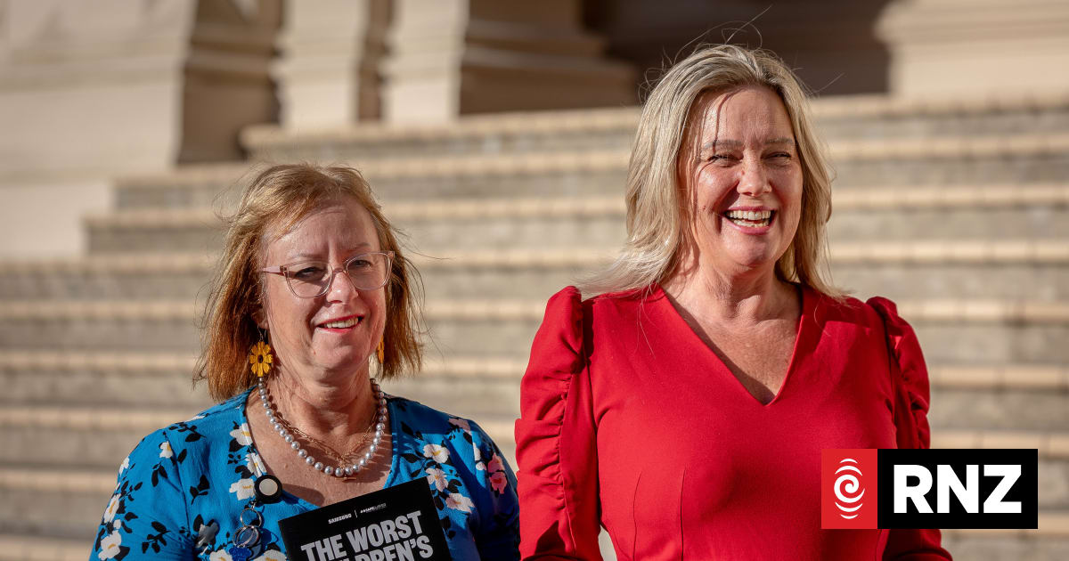 Labour, National MPs join forces to address social media harm against ...
