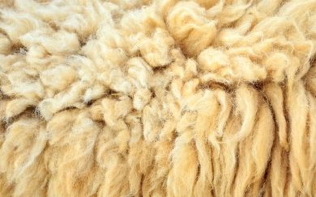 wool