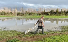 Henry Rooney cleans plastic from silage off his farm.