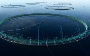 The Blue Endeavour farm NZ King Salmon wants to build in the ocean