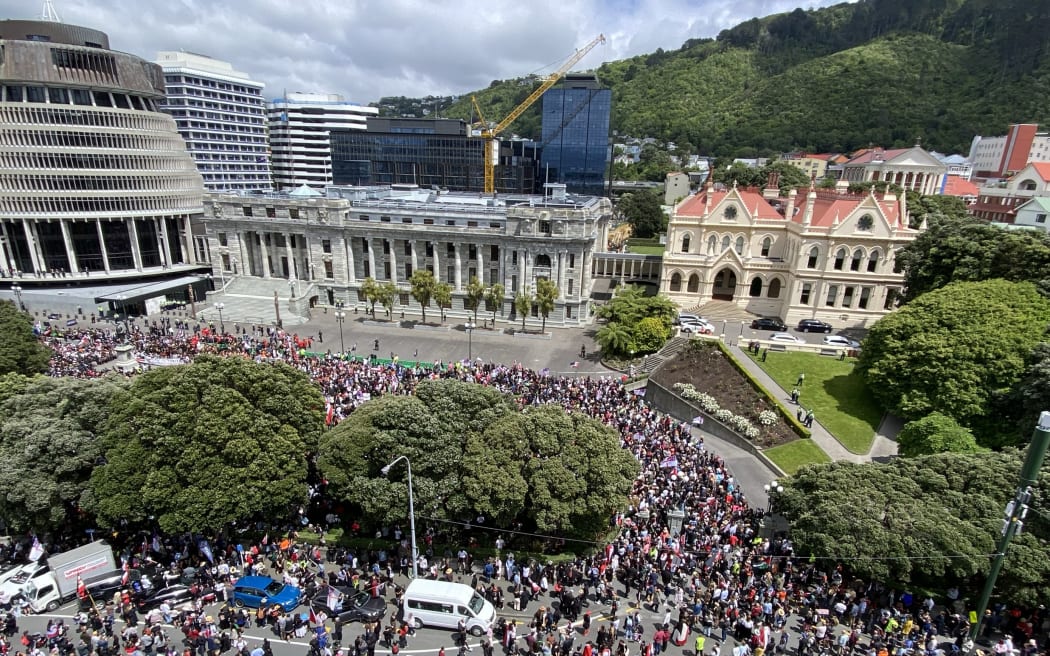The hīkoi at Parliament grounds on 19 November 2024.