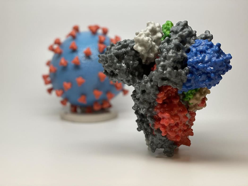 3D print of a spike protein of SARS-CoV-2, in front of a 3D print of a SARS-CoV-2 virus particle. The spike protein (foreground) enables the virus to enter and infect human cells.