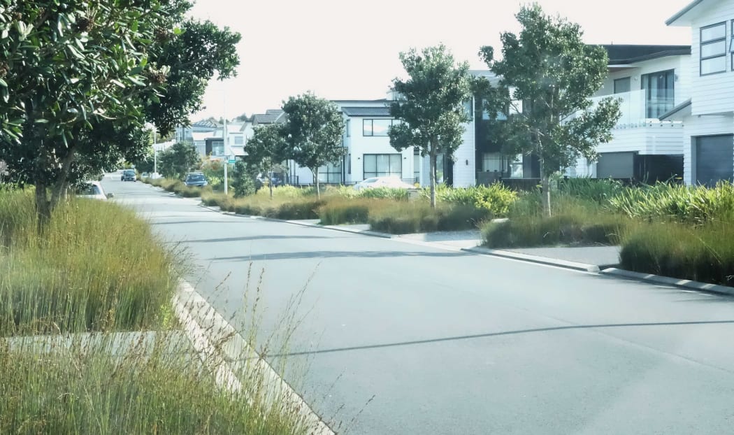 Stree in new development with rushes and Irises planted in beds where grass verges would have been