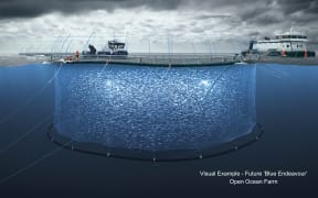 A mock-up image of what the Blue Endeavour open ocean salmon farm in Cook Strait could look like.