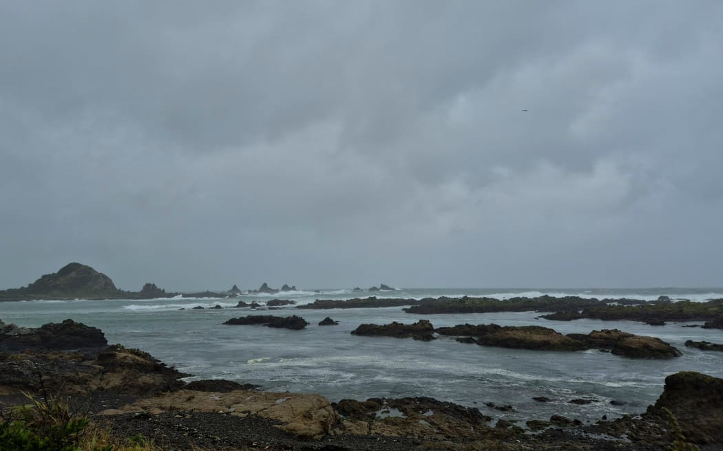 Wellington's south coast (Island Bay & Owhiro Bay)