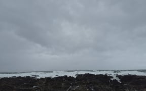 Wellington's south coast (Island Bay & Owhiro Bay)