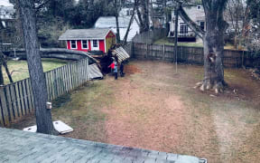 A tree came down during the storm in Maclean, Virginia