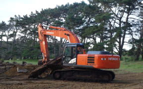 Digger unearthing ancient kauri.