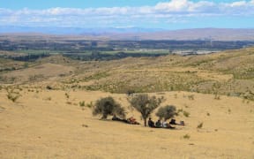 A photo taken on the day when Invercargill and Gore set new records for high temperatures. A group of walkers in Alexandra seek shade under three matagouri, looking like a scene from the Serengeti.