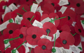 Poppies from inside the Hall of Memories, Wellington