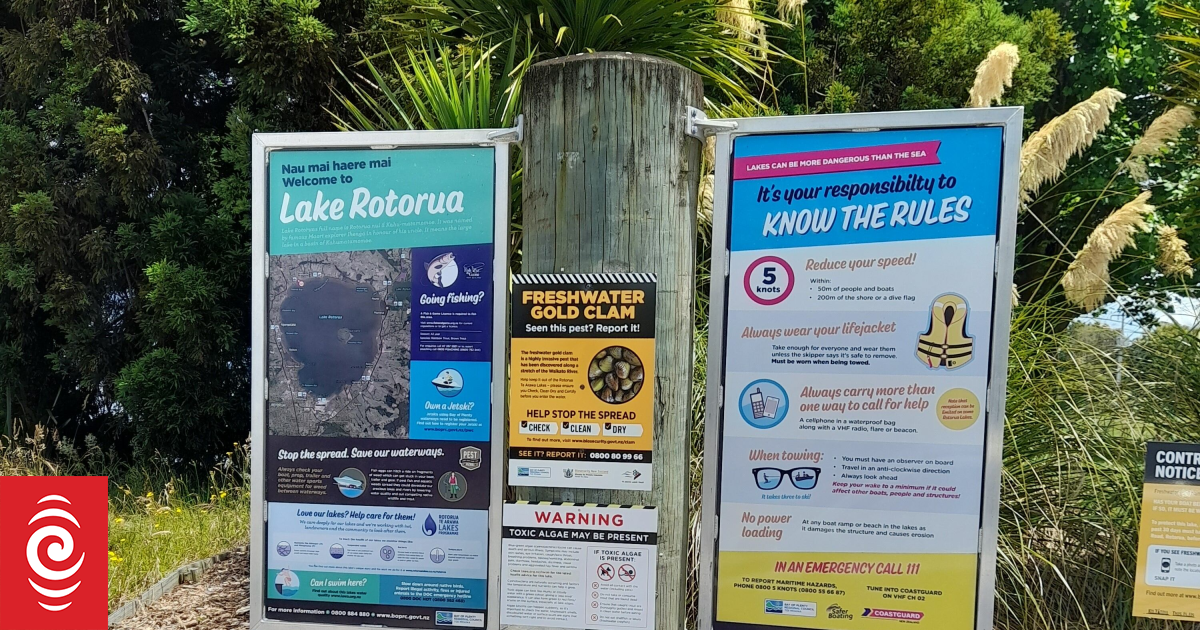Bay of Plenty council urges summer swimmers to check Rotorua water safety