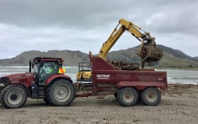 Tolaga Bay based operator Cranswick enterprises engage in the removal of woody debris from Tolaga Bay 
beach