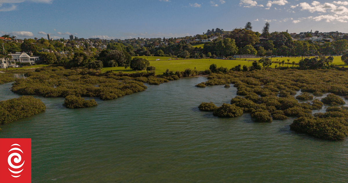 Hobson Bay residents fed up with sewage overflows