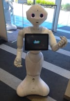 Pepper the robot