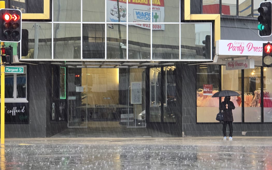 Heavy rain in central Lower Hutt kept shoppers mostly indoors on Sunday 18 August, 2024.