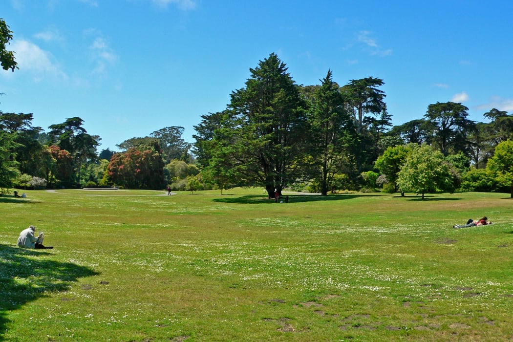 The Great Lawn at the San Francisco Botanical Garden