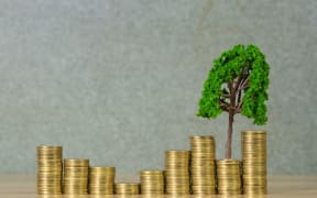 Investment growth.