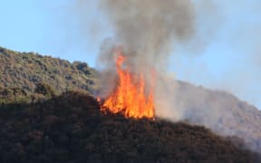 scrub fire generic