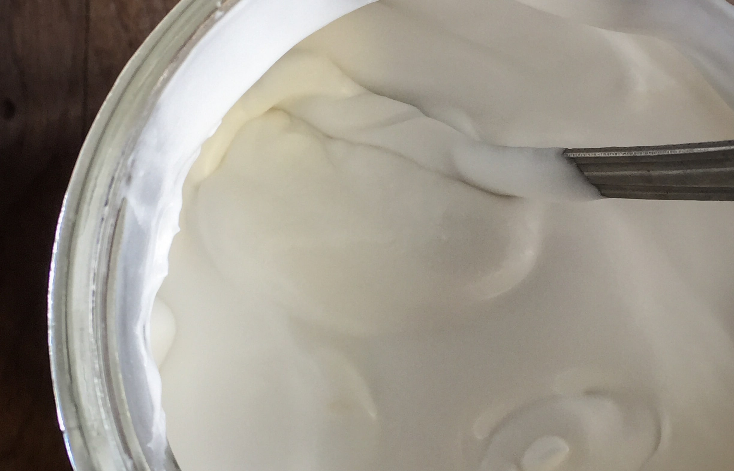 Coconut Yoghurt by Bonnie De Gros