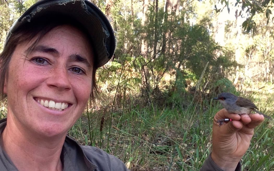 image of Dr Kristal Cain and a Rifleman/Tītitipounamu