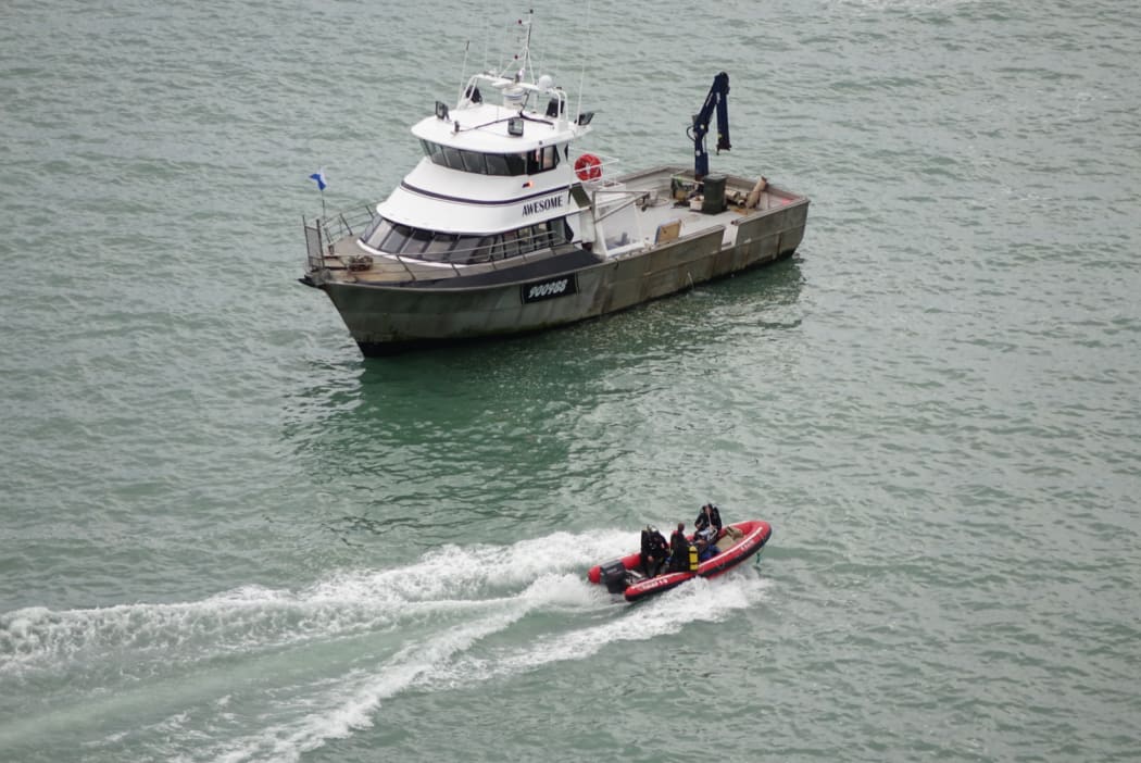 A chartered boat arrived at Blue Cod Bay to begin the operation just before 9am.