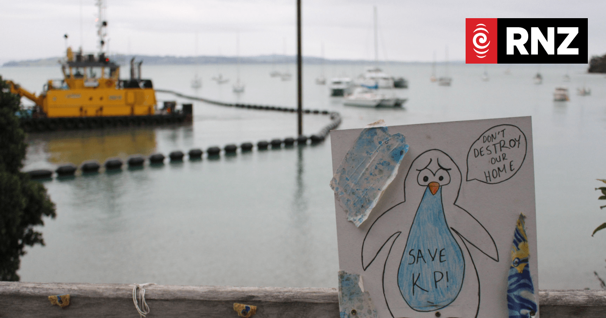 Growing concerns for fate of penguins on Waiheke Island - Vimarsana News