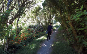 030214. Photo Diego Opatowski / RNZ. Belmont Regional Park walking tracks