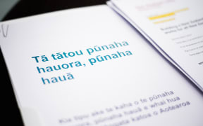 A document setting out the government's restructure of New Zealand's health system.