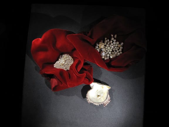 4ri0rvg gallery image 87