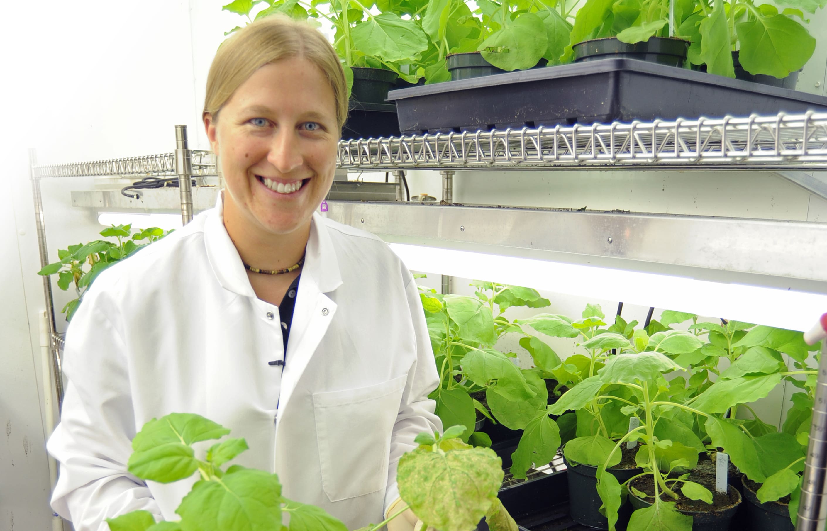 Dr Sarah Kessans has been shortlisted by NASA to become an astronaut.