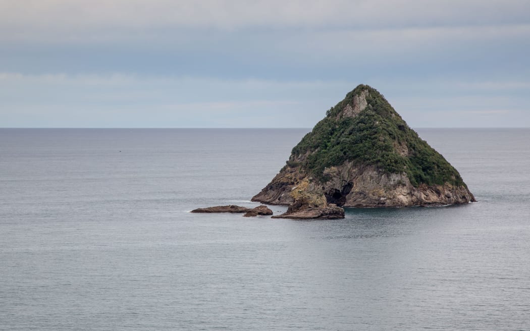 Moturoa Island in the Bay of Islands near New Plymouth.