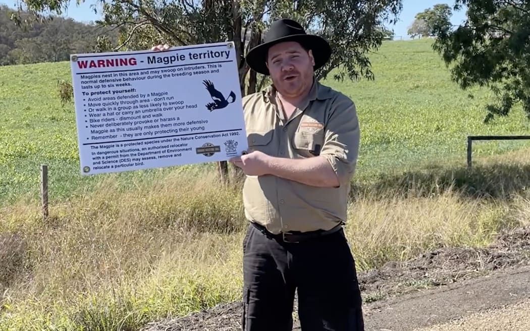 Transport and Main Roads Queenland staff demonstrate magpie warnings in Brisbane.