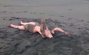 A headless sex doll inexplicably found on Tapuae Beach, Taranaki