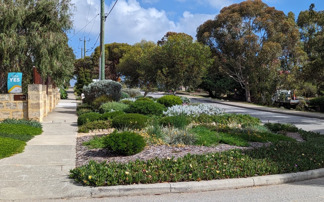 Perth verge or berm garden
