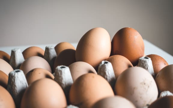 A tray of eggs catching the light