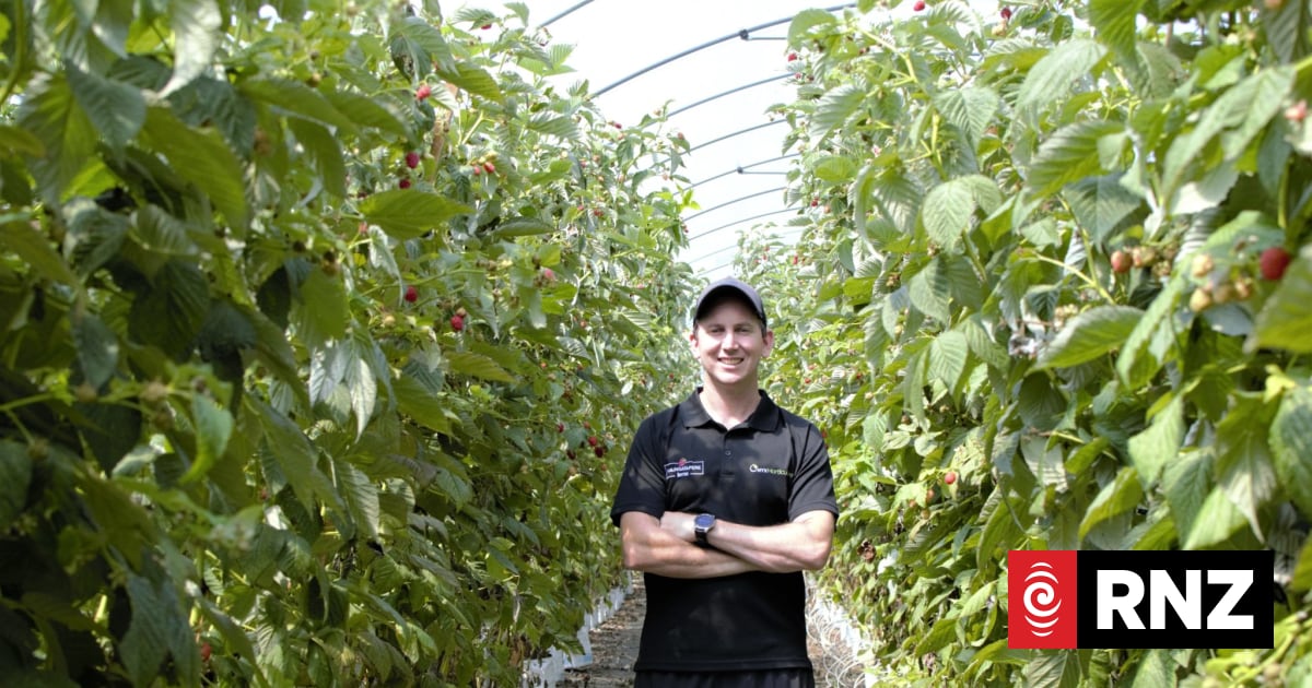 Where will summer jobs be this year?