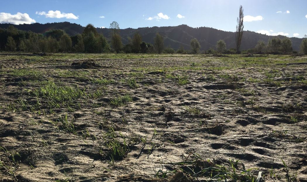 Many of Kevin Clark's paddocks are covered with silt.