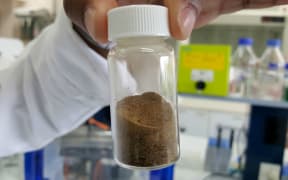 Wool protein powder