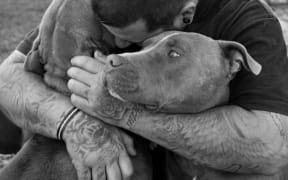 Dogs Best Friend still