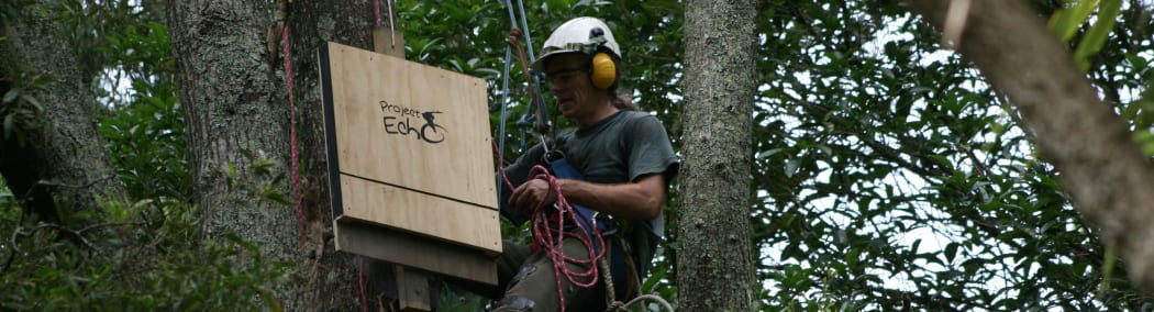 Project Echo bat box being installed in Hamilton.