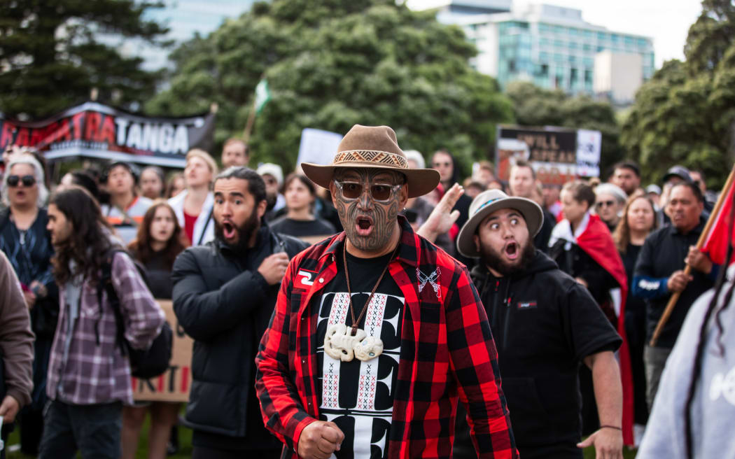 Te Pāti Māori co-leader Rawiri Waititi announced to the crowd it should march on Parliament.