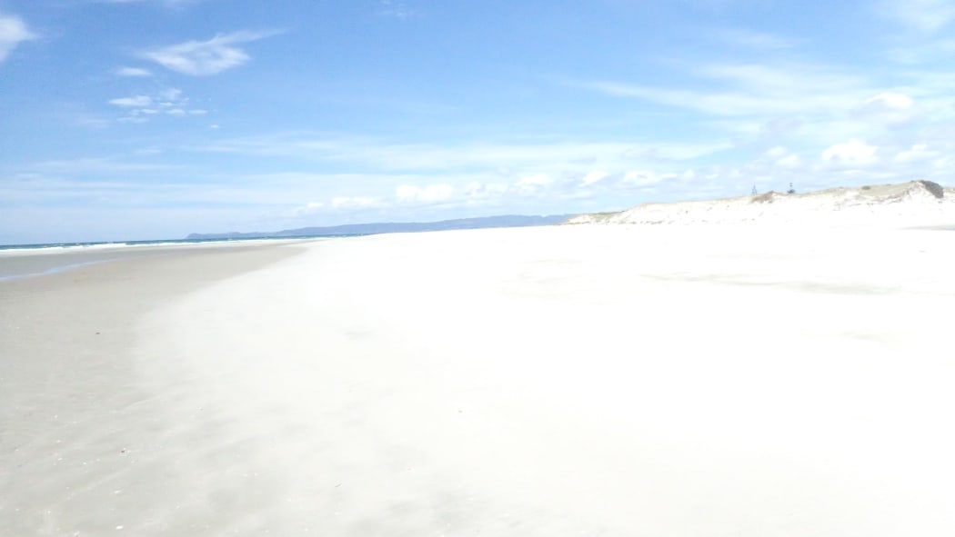 A view down the length of Ruakaka Beach.