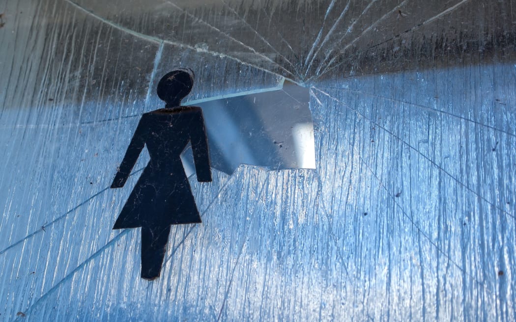 Jan Logie's Domestic Violence Victims' Protection Bill aims to make work a safe place for victims of domestic violence at work