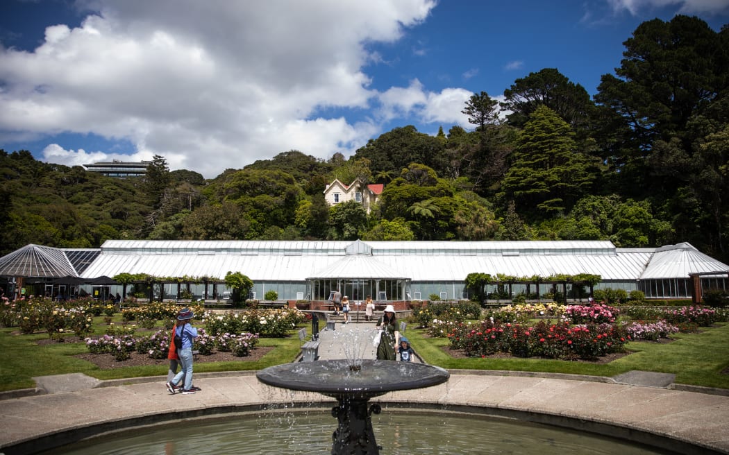 Begonia House in Wellington's botanical gardens