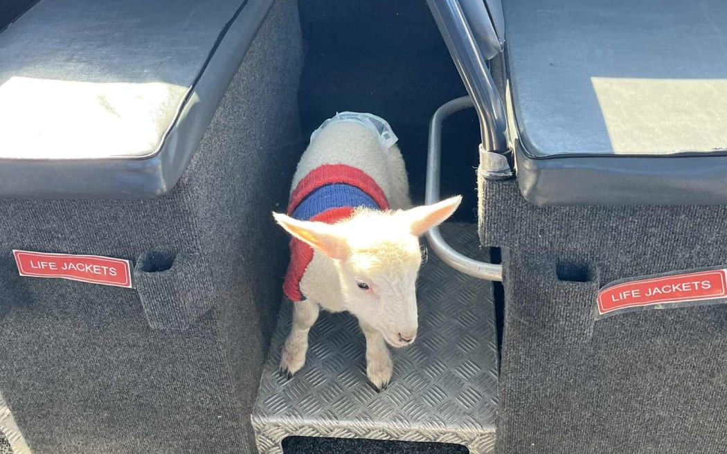 Dave the Lamb on board the Port to Port Ferry.