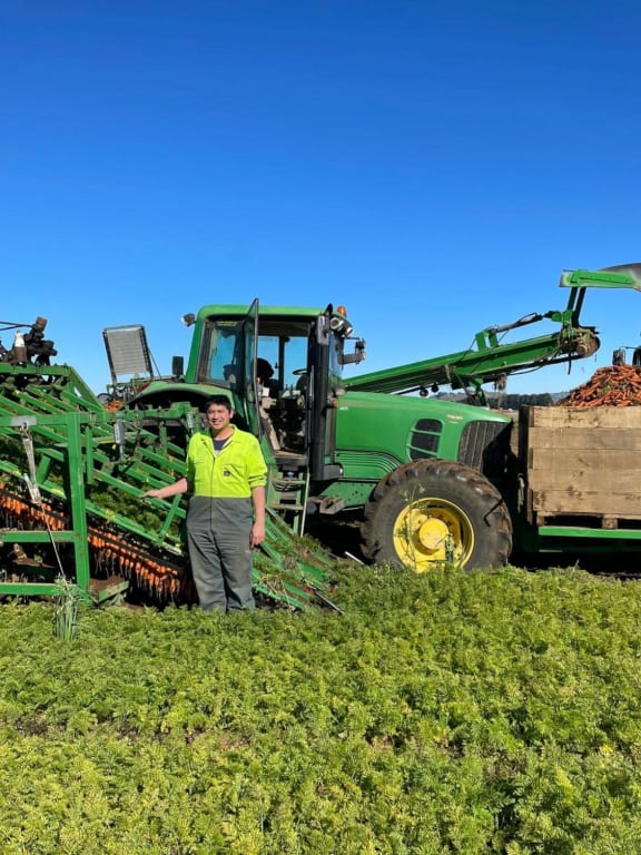 Scott Young's family company grows most of their vegetables on the rich volcanic soils up Mangateitei Road.