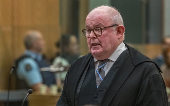 PHOTO: JOHN KIRK-ANDERSON

Sentencing for Brenton Tarrant on 51 murder, 40 attempted murder and one terrorism charge.

Christchurch mosque shootings

Stand-by counsel, Pip Hall, delivers a submission from Tarrant.