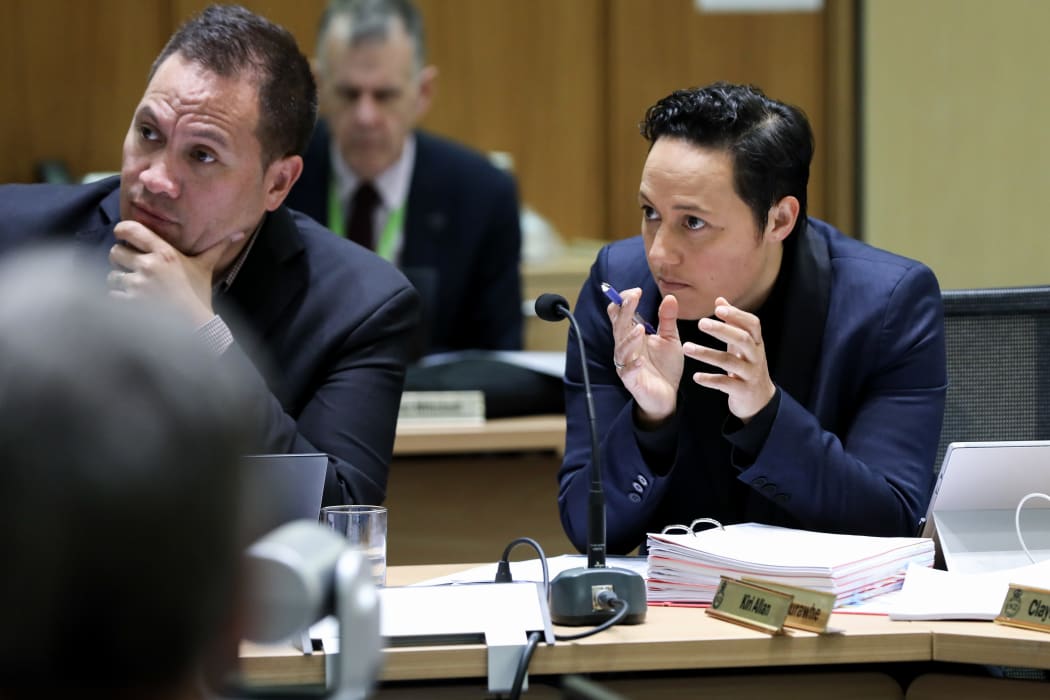 Labour MP Kiri Allan questions submitters in committee
